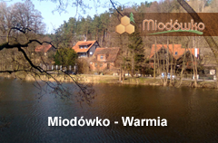 Miodowko.pl